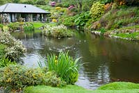 Mature hillside garden by stone bungalow with small lake at Llyn Rhaeadr, Harlech, Wales. The garden is open for the National Garden Scheme.