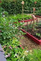 Small garden with flowering border of Nicotania and raised beds for vegetables