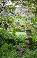 Garden viewed from undergrowth with Cherry tree and stone urn