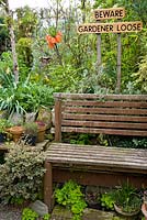 Wooden bench with Fritillaria imperialis
