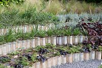 Title: Mis en Boite. Hundreds of tin cans stacked and built as borders. All filled with plants and herbs such as Heuchera.