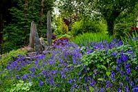 Standing stones focal point and Bluebells, Cae Hir Garden, Ceredigion, Wales