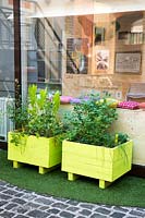 Urban Gardening, herbs an salads in containers, allium schoenoprasum, Petroselinum crispum, Levisticum officinale, Anthriscus cerefolium, Eruca sativa, lactuca sativa, 