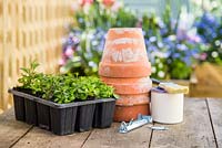 Materials needed are Terracotta pots, paint, paintbrush, hanging brackets and Lobelia 'Ultra Cascade'. 