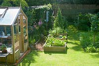 Suburban garden in summer with greenhouse and vegetable beds