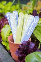 Variety of coloured plant labels in a pot, sat amongst border of lettuces