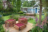 Deck with boxes of cranberries, pond and American New England style house''Wellbeing Wetlands'' from Gardens Now and inspired by Ocean Spray. Large Garden Gold Medal Winner at Bloom 2014, Ireland