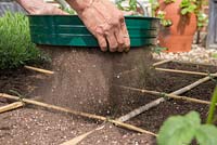 Using a riddle to cover seeds with a thin layer of compost