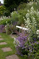 Valeriana officinalis and Campanula poscharskyana fill the borders with a bench that originated in the Mound Stand at Lord's Cricket ground. Mill Dene Garden, Gloucestershire.