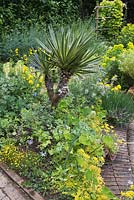 With the Yucca as a focal point, this is very much a border of leaf textures with a broad colour theme of green/yellow/blue. Plants like Lysimachia nummularia, Allium moly, salvia, foxglove, euphorbia etc.