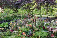 Bacchus Garden - RHS Hampton Court Palace Flower Show 2014 - Design: Wardrop Designs