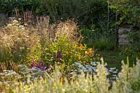 Sunlight on tall naturalistic grasses and perennials - The Jordans Wildlife Garden, RHS Hampton Court Flower Show 2014