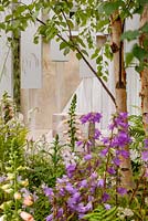 Pergola waterfall with naturalistic woodland style planting including Campanula, Digitalis 'Suttons Apricot' and Betula Pendula - Garden of Solitude, RHS Hampton Court Flower Show 2014