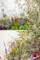 Modern relaxing garden oasis including Olea europaea, Al Fresco, RHS Hampton Court Flower Show 2014