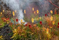 Hot strong coloured planting including Kniphofia 'Tetbury Torch', Achillea 'Walter Funke' and Achillea 'Terracotta' with volcano themed smoke, lava and ash, Eruption of Unhealed Anger, RHS Hampton Court Flower Show 2014