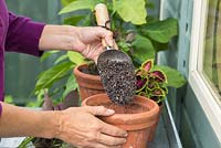 Filling pots with compost