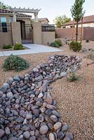 Gravel and pebble garden with plants including Pyrus calleryana, Hesperaloe parviflora and Ipomoea leptophylla 