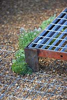 Metal grate used as raised walkway and on ground with gravel in-fill, edged with thyme and echeveria - A Space to Grow and Connect. Designers: Jeni Cairns (Juniper House Garden Design) and Sophie Antonelli (Land Girl). Sponsors: Metal, Earls Scaffolding,British Sugar