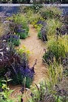 The One Show Garden. Extensive planting of ornamental grasses and flowering perennials along crushed stone path.  