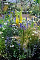 A Space To Connect and Grow. Eremurus, Echinacea 'White Swan', Agastache 'Blackadder', Achillea 'Terracotta' with bamboo water feature in background
