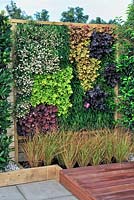 A Hampton Garden. Living Wall Panel