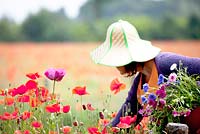 Woman with sunhat picking wild flowers in the poppies field.