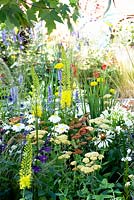 Gold. Best summer garden. A Space to connect and to grow. Design: Jeni Cairns and Sophie Antonelli. Mixed border.