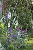 Informal border with pastel shades - The BrandAlley Garden, designer Paul Hervey-Brookes - RHS Chelsea Flower Show 2014.