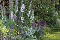 Informal border with pastel shades - The BrandAlley Garden, designer Paul Hervey-Brookes - RHS Chelsea Flower Show 2014.
