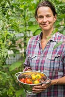 Woman holding a harvest of mixed tomatoes within her greenhouse. Tomato 'Red Cherry', 'Golden Sunrise', 'Black Cherry' and 'Tigerella'. 