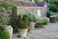Large pots and containers at Barbara Stockitts garden at West Kington, Wiltshire