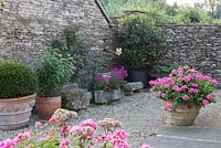 Large pots and containers at Barbara Stockitts garden at West Kington, Wiltshire