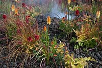 Planting includes Kniphofia 'Tetbury Torch', Achillea 'Walter Funke' and Achillea 'Terracotta' with volcano themed smoke, lava and ash - Eruption of Unhealed Anger, RHS Hampton Court Flower Show 2014