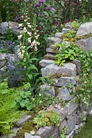 Drystone wall with mixed planting - The Forgotten Folly garden 