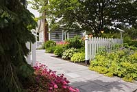 Stacked log home facade and grey flagstone path bordered by an evergreen tree and purple caucasian stonecrops, Sedum spurium in a front yard garden in summer. Plaintain lily, Hosta plants behind the white wooden picket fence. Il Etait Une Fois garden, Monteregie, Quebec, Canada. 