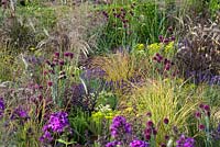 The One Show Garden - Allium sphaerocephalon and carex. Matrix of wispy perennials growing from aggregate gravel floor 