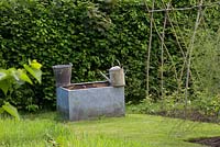 Vegetable garden, water trough, rustic, bucket, watering can, asparagus