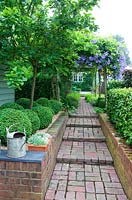 Brick path with pergola, Clematis 'Perle d'Azur', clipped buxus spheres, watering can, pot of succulents