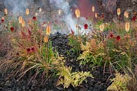 Wrath - Eruption of Unhealed Anger - view of garden with lava bed and planting of Kniphophia Tetbury Torch red hot pokers Echinacea tomato soup Imperata red baron Athyrium Niponicum Pictum Achillea 
