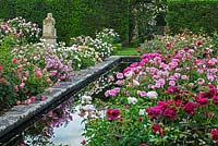 The Renaissance Garden - Water feature edged with roses -  David Austin Rose Garden, Shropshire, UK 