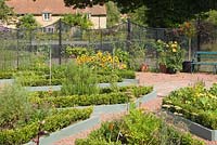 Parterre area with box edged beds. Mixed annuals and herbs. Hall Farm Garden at Harpswell near Gainsborough in Lincolnshire. August 2014.