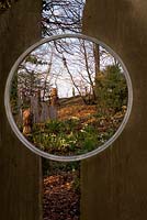Oak structures create windows in the woodland garden