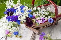 Trug with summer flowers:- centaurea cyanus, ammi major, lathyrus odorata, delphinium and poppy seed heads
