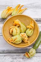 Cucurbita - edible courgette flowers harvested for cooking