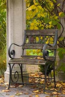 Wooden garden chair and fallen leaves on flagstones underneath a wood and concrete pergola covered with a Kiwi ornamental 'Arctic Beauty' climbing vine Actinidia kolomikta 'Arctic Beauty' in backyard garden in autumn. Il Etait Une Fois garden, Monteregie, Quebec, Canada. 
