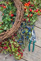 Materials needed for wreath are secateurs, a plain wreath, Hawthorn, Sloe berries and Rose hips. 