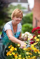 Angie Barker garden designer dead heading Peony and Rose 'George Best' in her garden - Acreswood