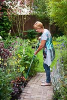 Garden designer, Angie Barker on a cobbled curved pathway hoeing around planting of Begonia 'Glowing Embers' and Stachys byzantina