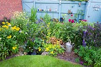 Cottage garden border with small wildlife pond which provides a plethora of frogs. Planting consists of Lupinus 'Gallery Blue', Rosa 'Munstead Wood', Hebe 'Midnight Sky', Hemerocallis 'Stafford', Heuchera 'Marmalade', Geranium 'Orion', Alstromeria and Anthemis 'EC Buxton'