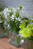 Cool white Cleome and zingy lime Zinnia sit in Kilner jars in a cool spot in the studio